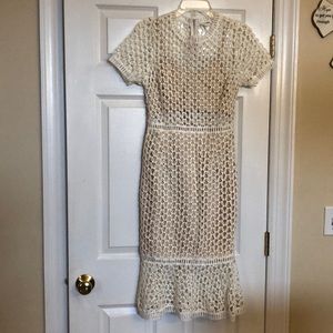 Gorgeous dress with nude underlay